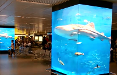 Clear Channel quattro acquari tropicali debuttano all'aeroporto Leonardo da Vinci di Fiumicino
